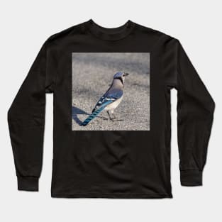 Blue Jay in Parking Lot Long Sleeve T-Shirt